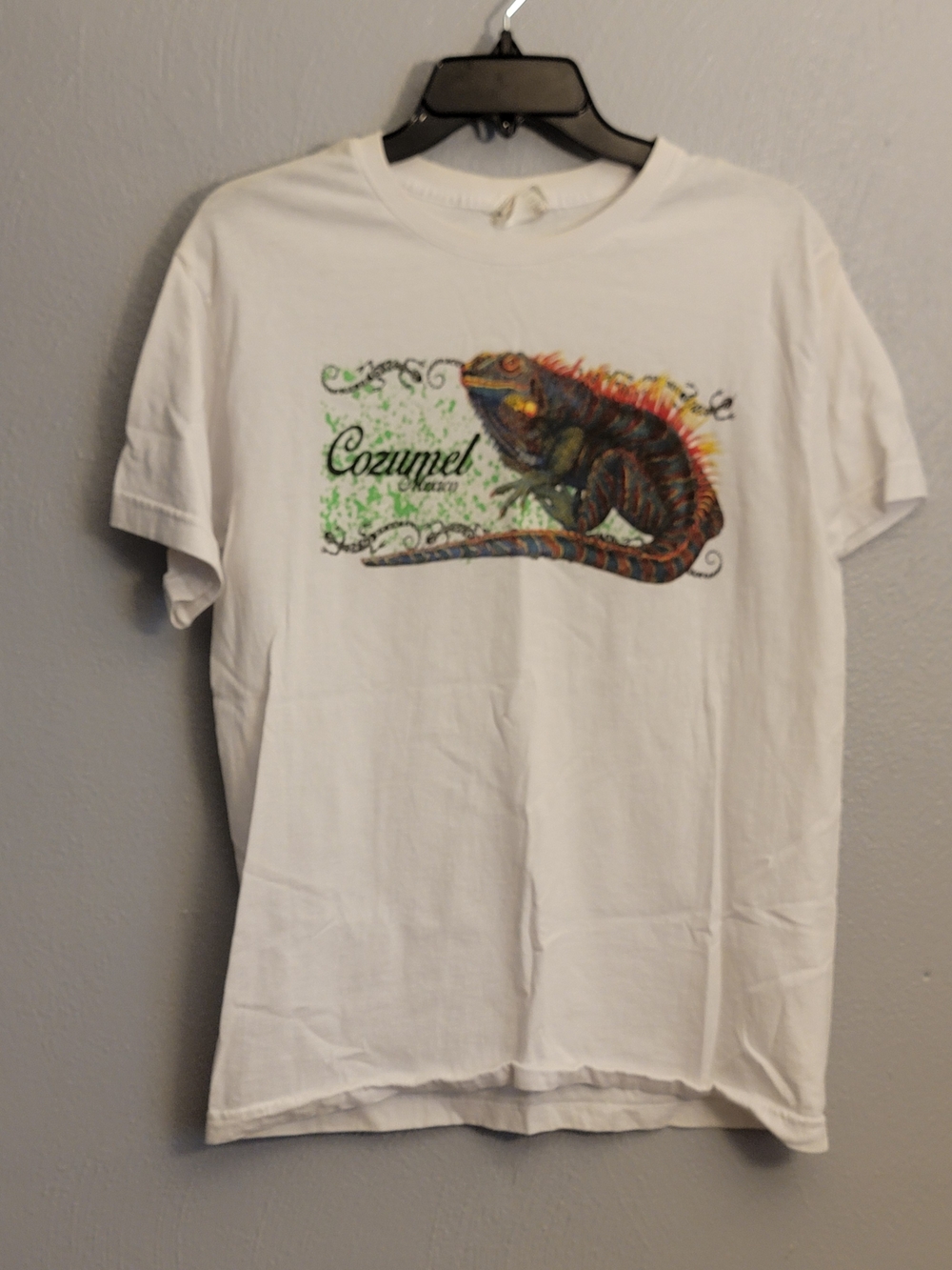 Cozumel Iguana Graphic Tee - White